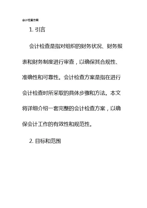 会计检查方案