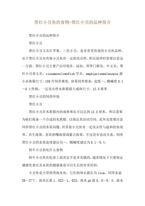 黑红小丑鱼的食物-黑红小丑的品种简介