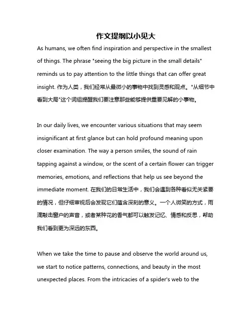 作文提纲以小见大