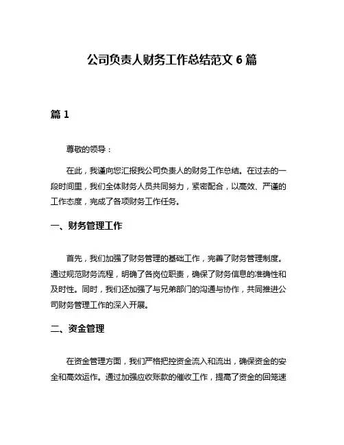公司负责人财务工作总结范文6篇