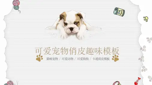 宠物店可爱猫咪小狗趣味俏皮PPT模板课件