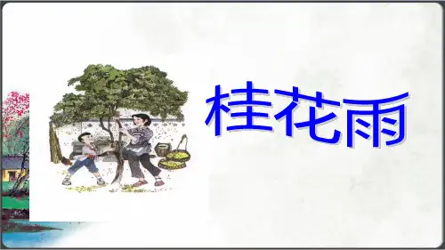 课件桂花雨(共20张PPT)