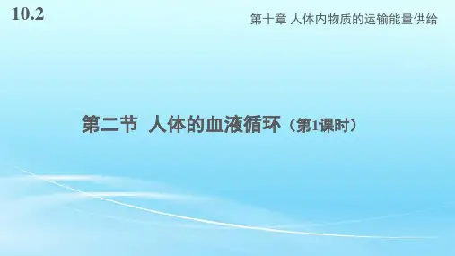 苏教版七年级生物下册10.2《人体的血液循环》课件