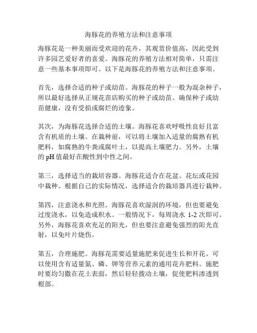 海豚花的养殖方法和注意事项