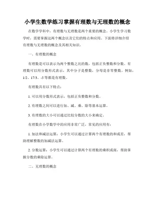 小学生数学练习掌握有理数与无理数的概念