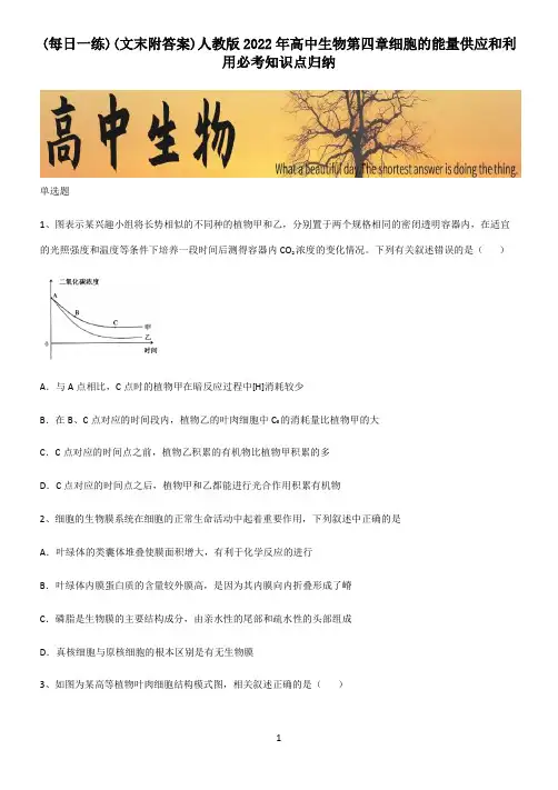 (文末附答案)人教版2022年高中生物第四章细胞的能量供应和利用必考知识点归纳