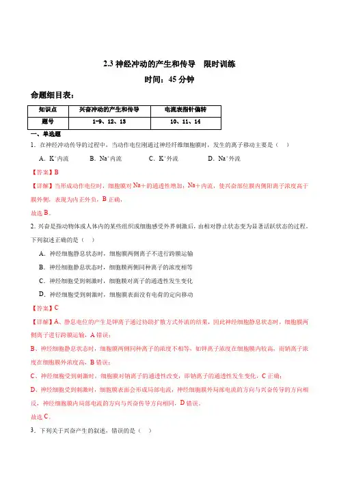 2.3 神经冲动的产生和传导(限时训练)-【导与练】2024-2025学年高二生物同步优秀备课资源(