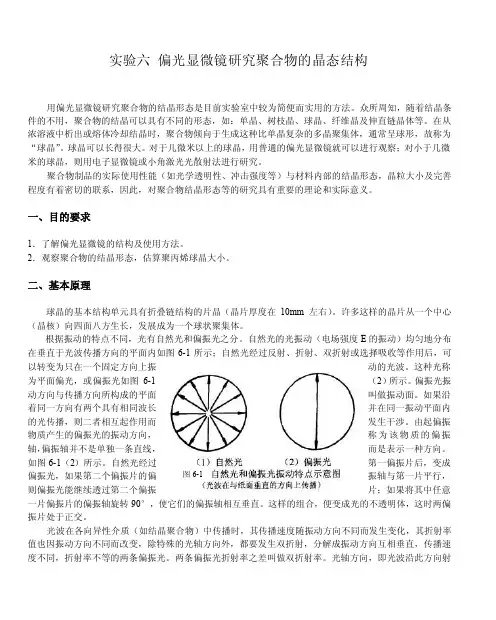 实验六偏光显微镜研究聚合物的晶态结构讲述