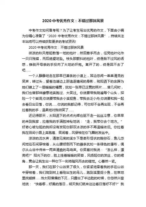 2020中考优秀作文：不错过那抹风景