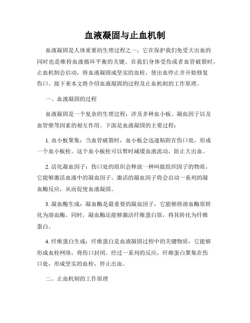 血液凝固与止血机制