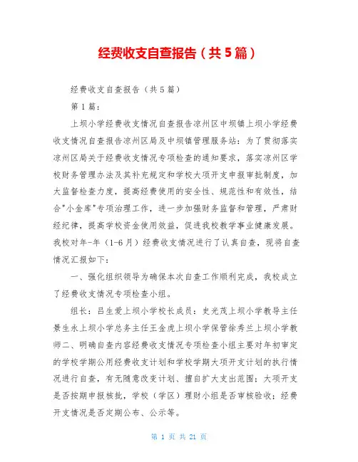 经费收支自查报告(共5篇)