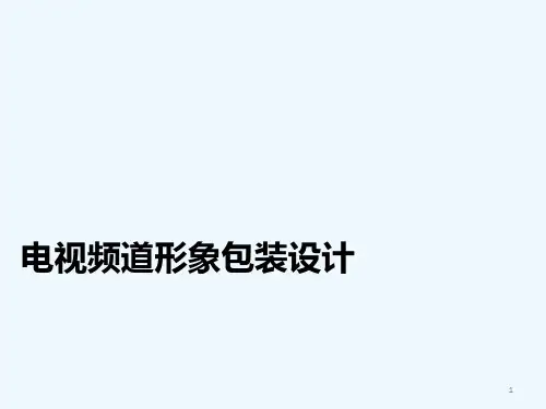 电视栏目包装(PPT34页)