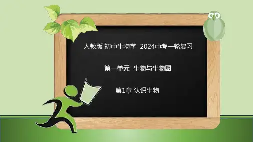 人教版 初中生物学  2024中考一轮复习 第1章 认识生物课件(共19张PPT).ppt