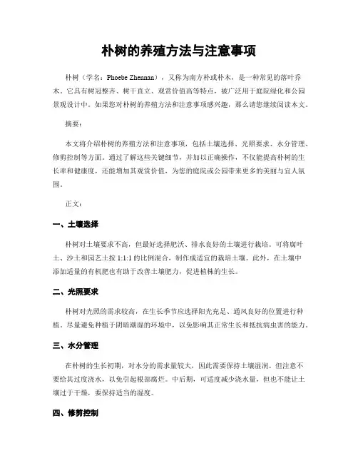 朴树的养殖方法与注意事项