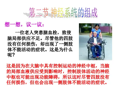 人教版生物七年级下册.2神经系统的组成 课件(共23张)