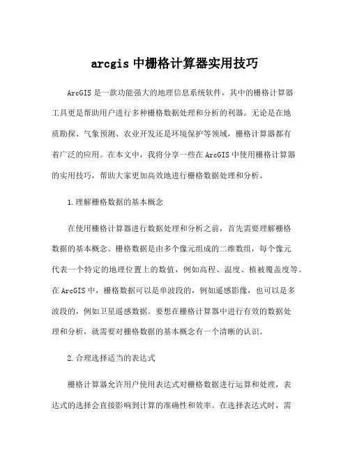 arcgis中栅格计算器实用技巧