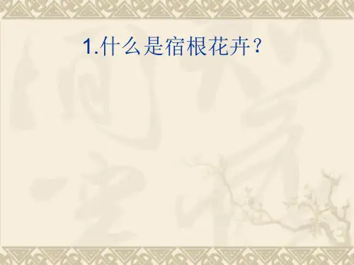园林花卉栽培与管理宿根花卉ppt课件