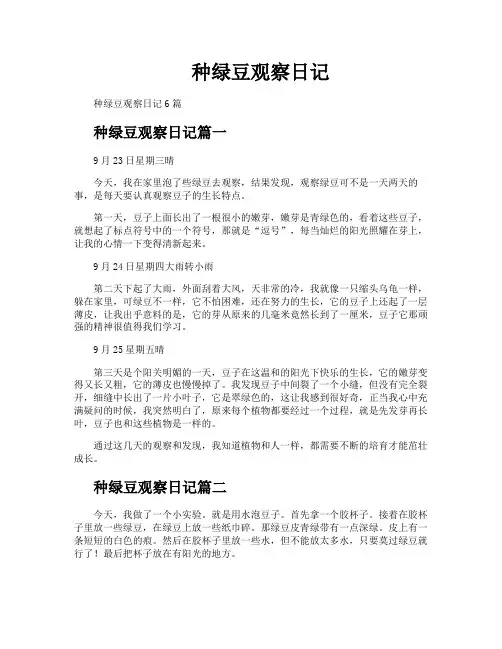 种绿豆观察日记