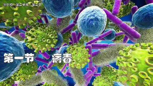2.2.1  病毒课件 (共16张PPT)2024-2025学年生物冀少版七年级上册
