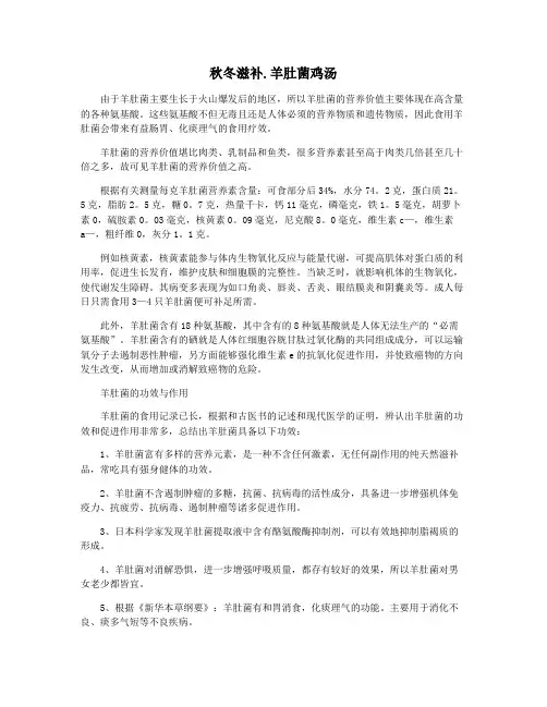秋冬滋补.羊肚菌鸡汤