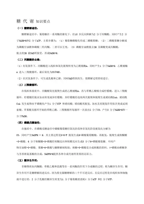 生物化学糖代谢小结