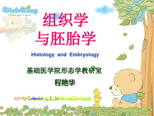 组织学与胚胎学-绪论-39页文档资料
