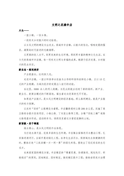 镇全国文明村镇短片解说词