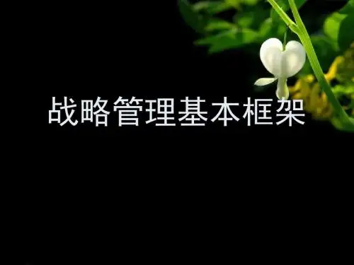 战略管理基本框架-精选文档