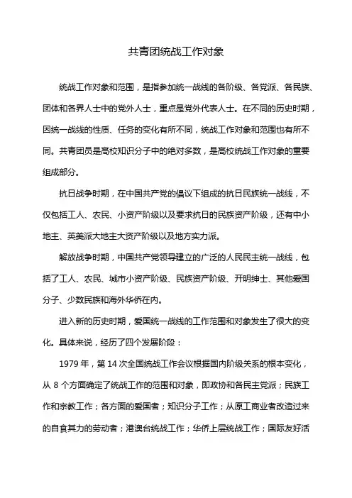 共青团统战工作对象