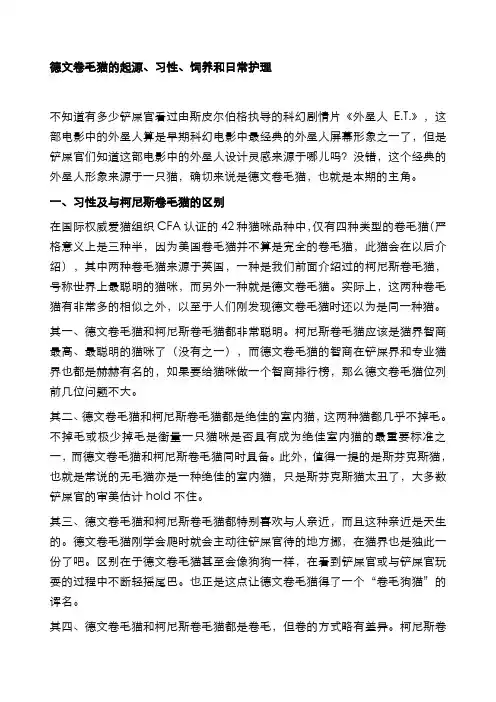 德文卷毛猫的起源、习性、饲养和日常护理