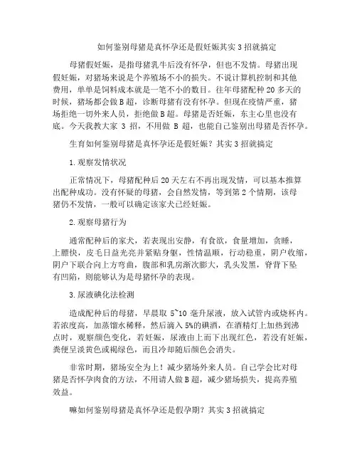 如何鉴别母猪是真怀孕还是假妊娠其实3招就搞定