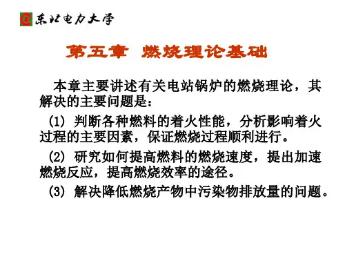燃烧理论