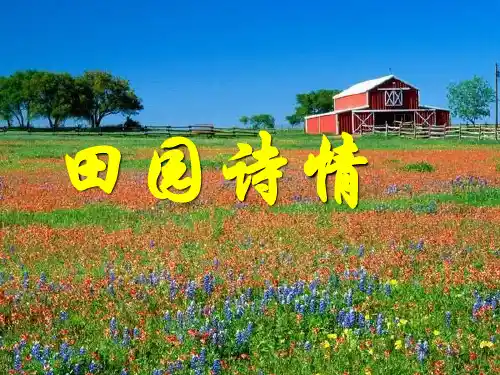 四年级上册语文课件-11 田园诗情｜苏教版 (共22张PPT)(1)