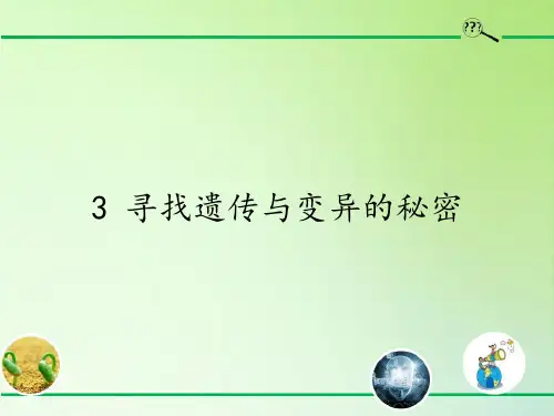 六年级科学下册优秀ppt_寻找遗传与变异的秘密3苏教版(13张)课件