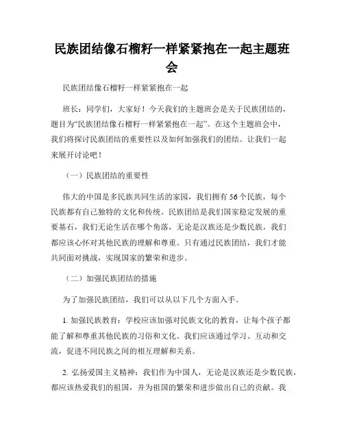 民族团结像石榴籽一样紧紧抱在一起主题班会