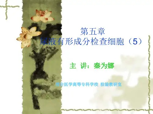【医学PPT课件】尿沉渣实验