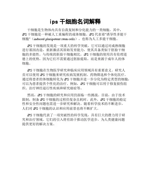 ips干细胞名词解释