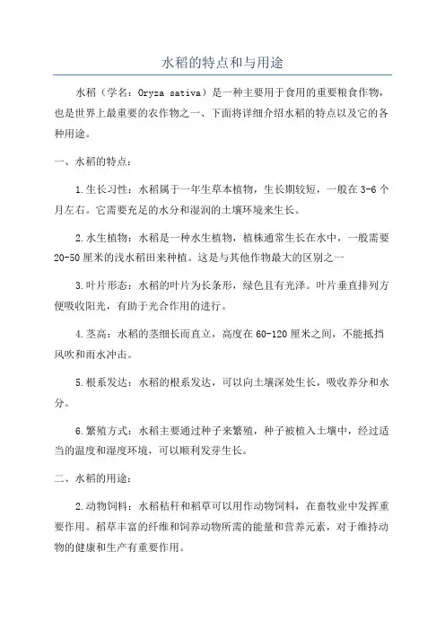 水稻的特点和与用途