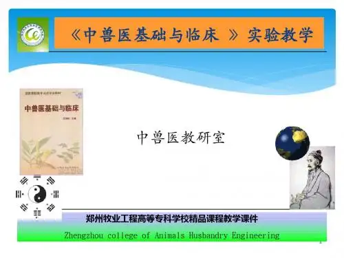 实验五 延胡索对小白鼠的镇痛作用ppt课件