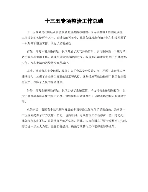 十三五专项整治工作总结