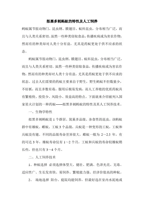 拟黑多刺蚂蚁的特性及人工饲养