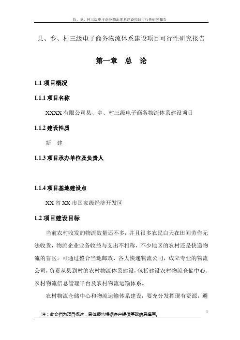 县、乡、村三级电子商务物流体系建设项目可行性研究报告