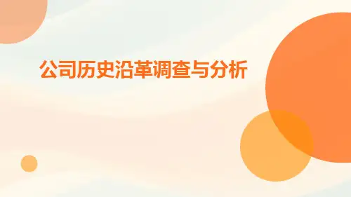 公司历史沿革调查与分析ppt
