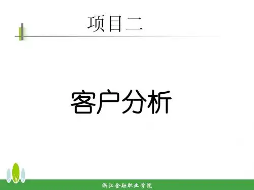 项目二：客户分析(11级)