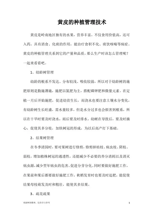 黄皮的种植管理技术