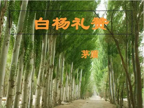 第15课《白杨礼赞》课件(共45张)