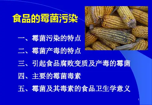 食品的霉菌污染及控制