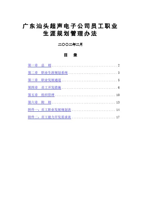 广东汕头超声电子公司员工职业生涯规划管理办法