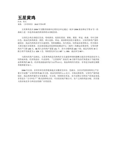 五星黄鸡