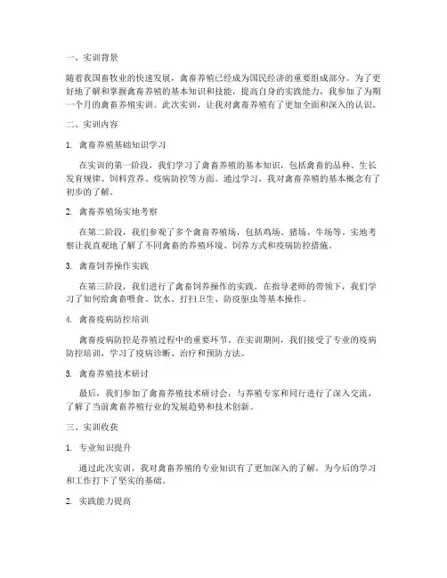 禽畜养殖的实训报告总结